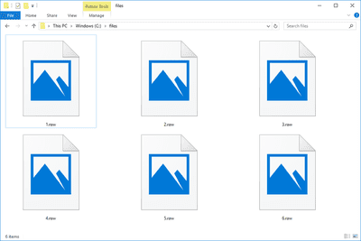 Snímek obrazovky několika souborů RAW v systému Windows 10