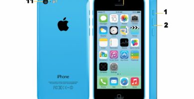 iphone 5c anatomy 2 b76dd1fb06bc4a3bb2bb7479eaa8dedb