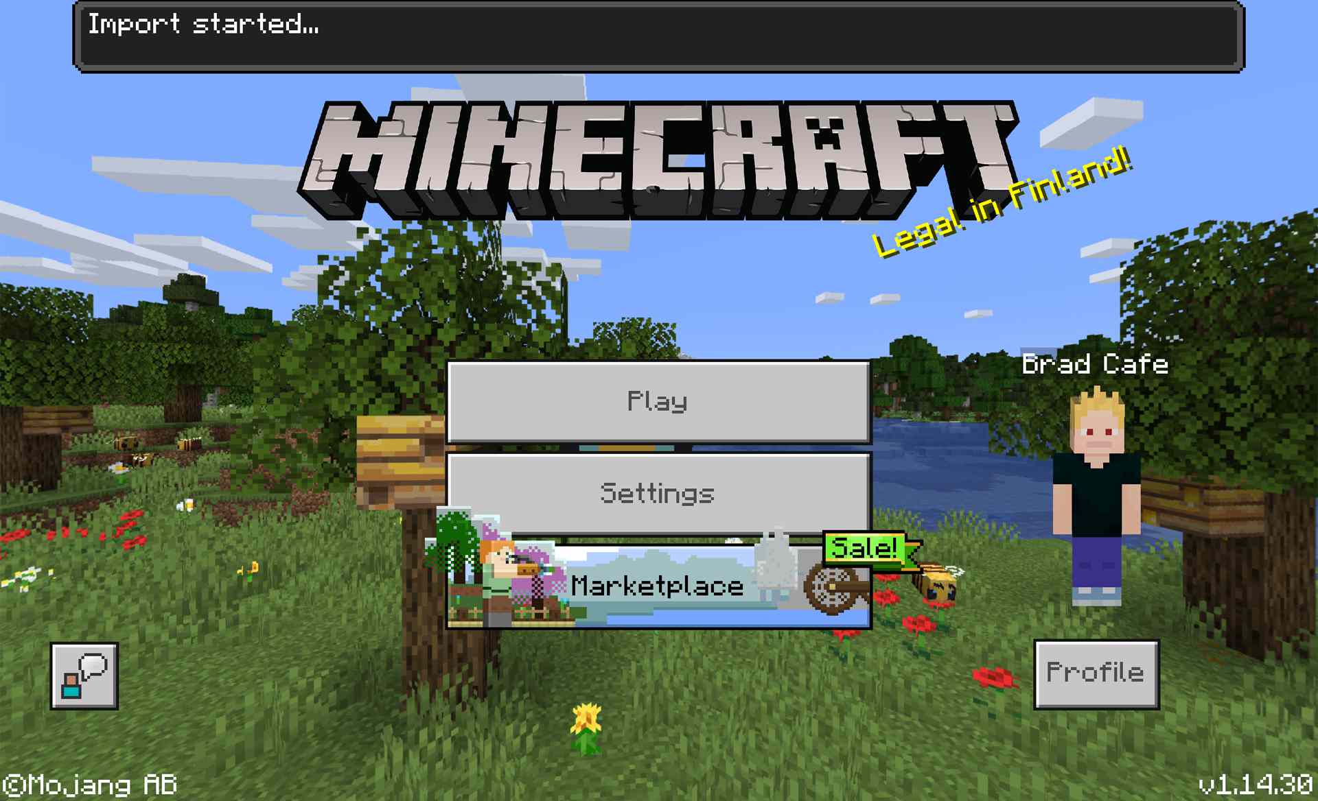 Videohra Minecraft pro Windows 10.