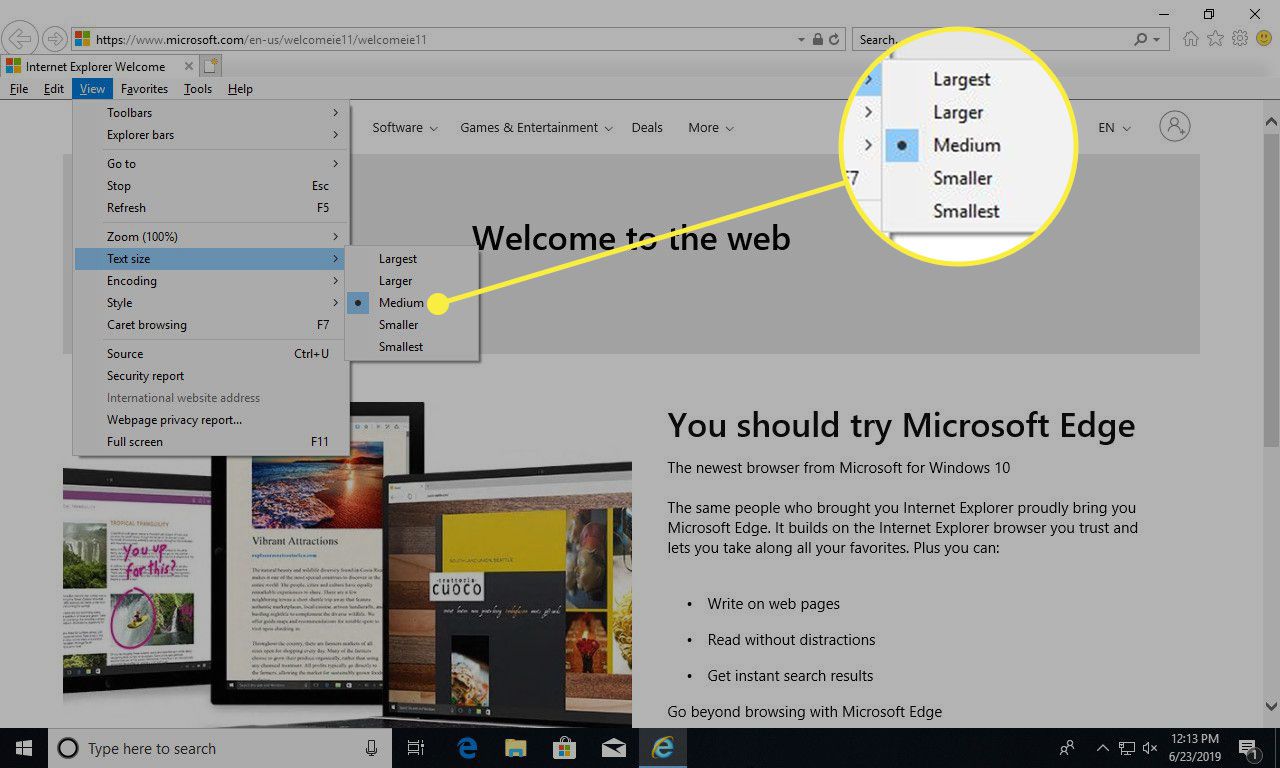 Snímek obrazovky aplikace Internet Explorer se zvýrazněnými možnostmi velikosti textu