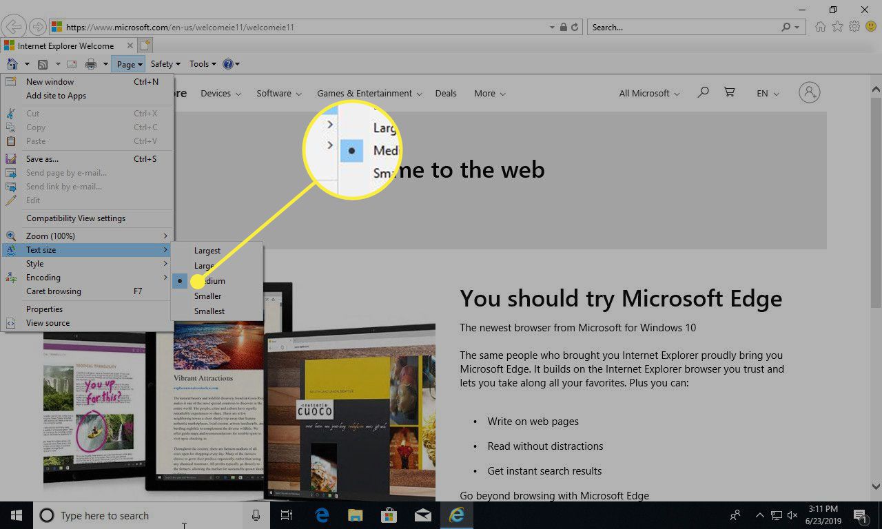 Snímek obrazovky aplikace Internet Explorer se zvýrazněnými možnostmi velikosti textu