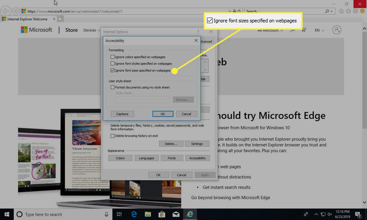 Snímek obrazovky okna Usnadnění aplikace Internet Explorer s příponou "Ignorujte velikosti písma" zvýrazněná možnost