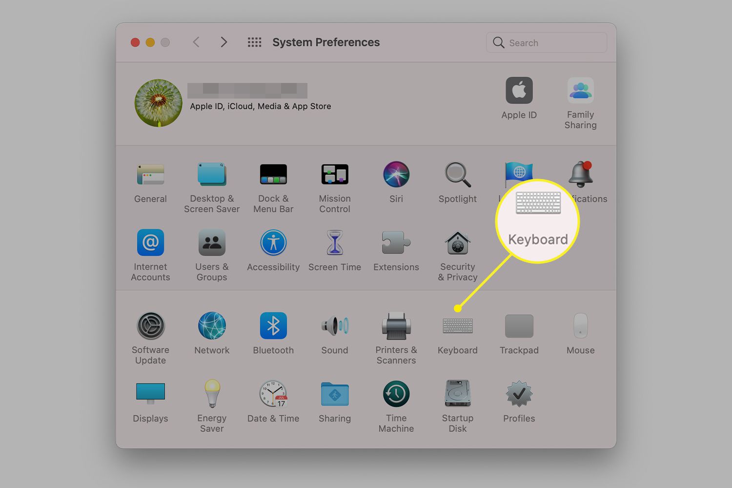 Mac System Preferences with Keyboard highlighted