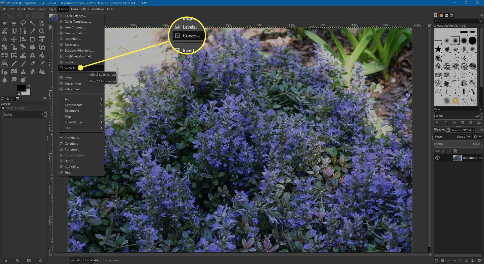 Snímek obrazovky GIMP se zvýrazněnou možností Křivky v nabídce Barvy
