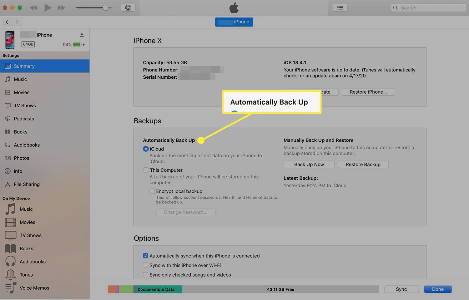 Obrazovka zařízení iTunes s příponou "Automaticky zálohovat" nadpis zvýrazněn