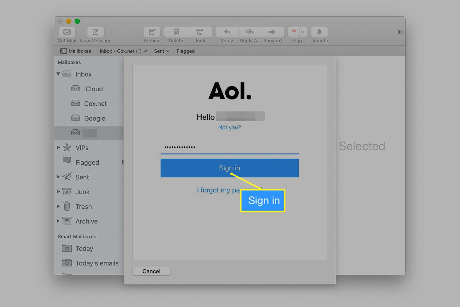 Obrazovka hesla AOL v Mac Mail