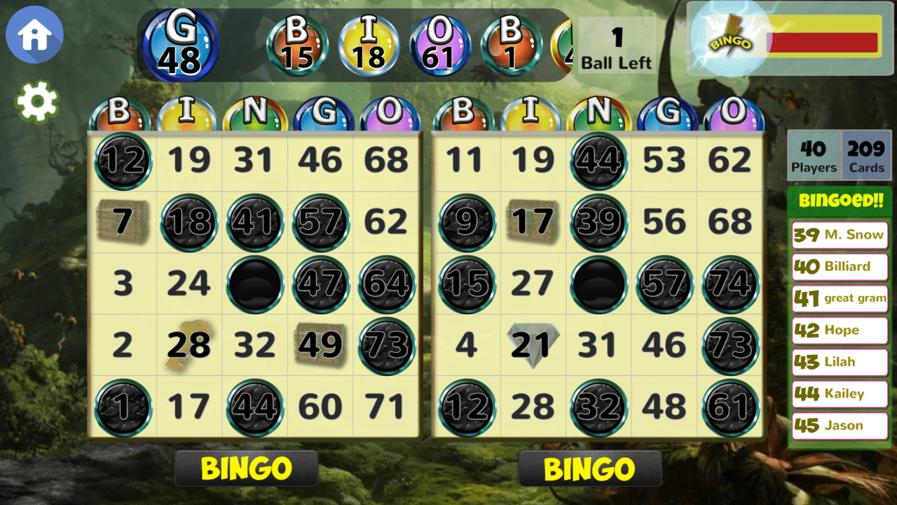 Screenshot z hraní Blackout Bingo