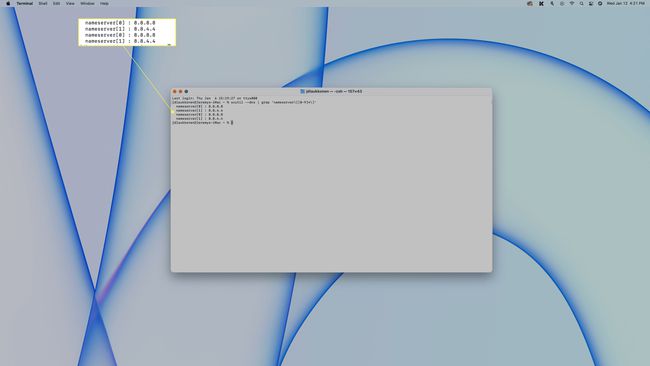 Informace DNS zobrazené v Terminálu na macOS.