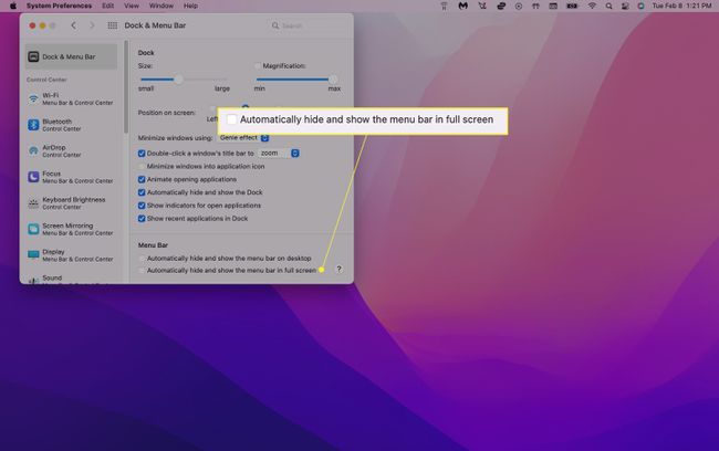 "Automaticky skrýt nebo zobrazit panel nabídek na celé obrazovce" zvýrazněno v Předvolbách systému Mac.