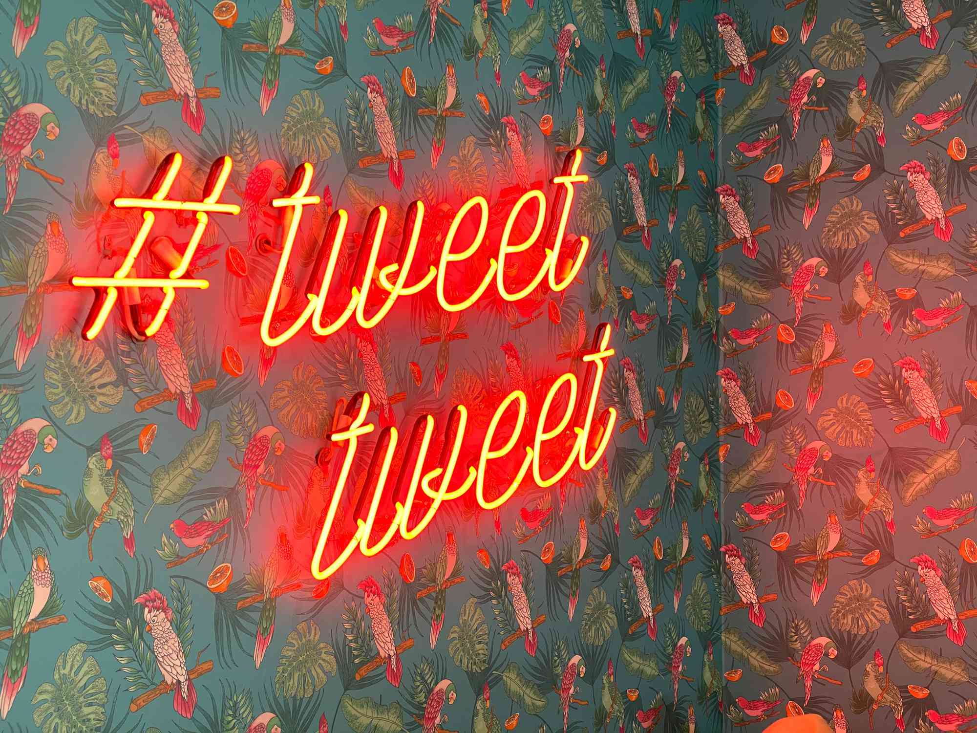 Neonový nápis s nápisem #tweettweet proti zdi pokryté tapetami s motivem papoušků a džungle.