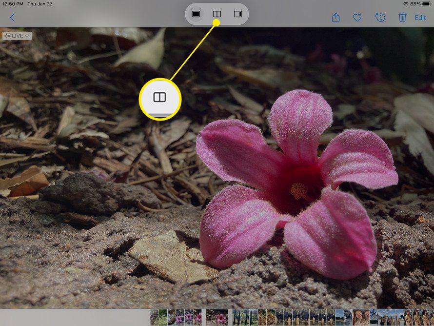 Aplikace Poznámky pro iPad se zvýrazněným rozděleným zobrazením v nabídce Multitasking